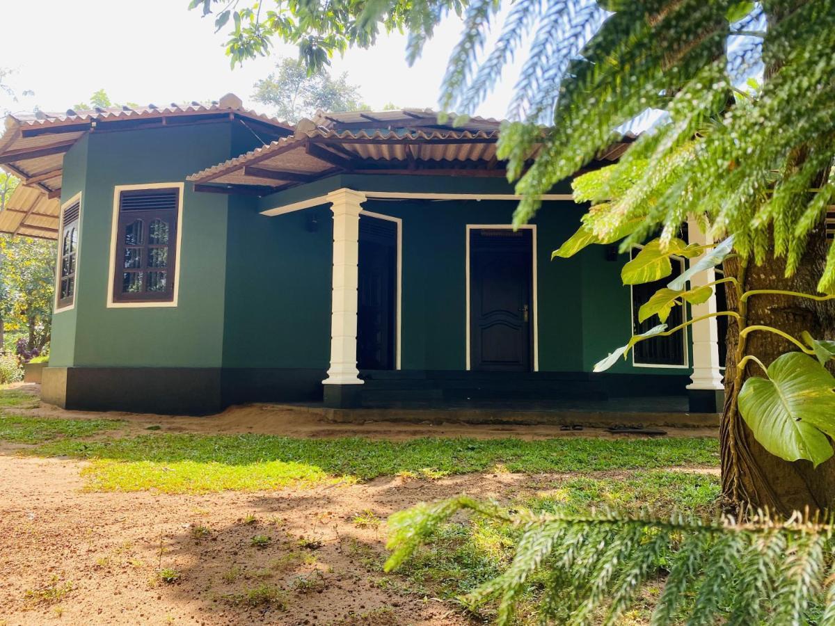 Sigiri Siesta Homestay Sigiriya Exterior foto